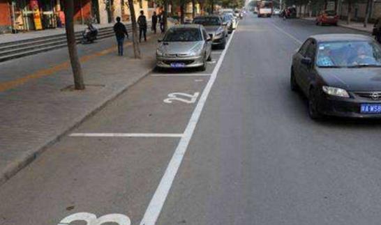 停车位草种选择：耐踩踏的草坪草种揭秘