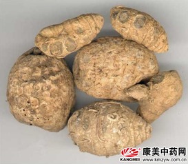 莪术功效揭秘：它能活血化瘀