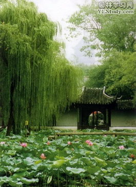 传统园林：古典与自然的和谐