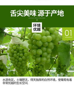 混用效果如何？