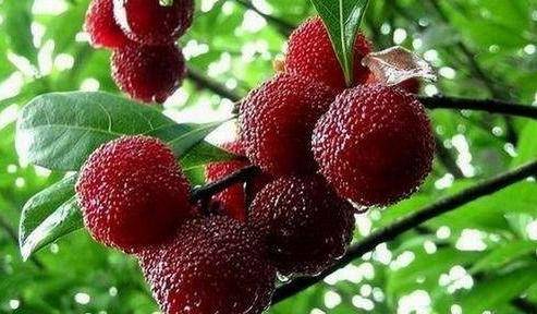 南京众彩市场的实测数据