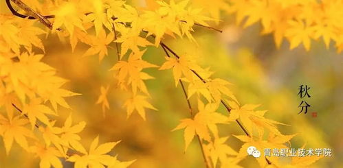 秋季树木深栽好处多