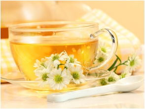 菊花搭配什么茶不上火？