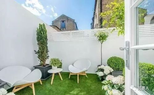 庭院种植花树， 选择合适的伙伴