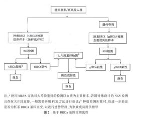 具体步骤：就像拼图一样