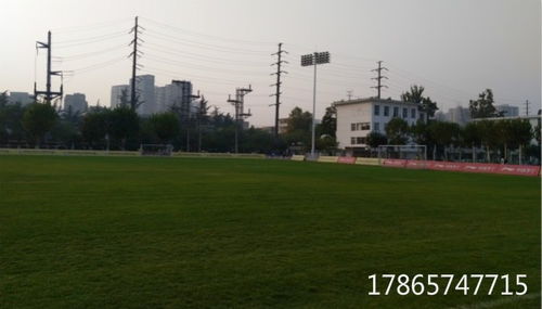 草坪种植培训：全面了解种植技Neng