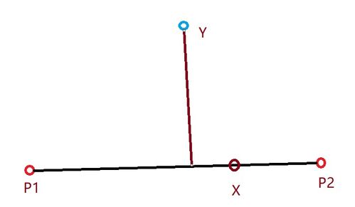 影子的奥秘：测量大树高度的方法