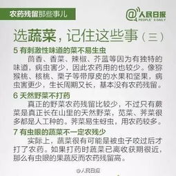 农资店老板的“秘密”：合作社直采嫩省30%成本