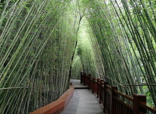 生态系统的影响：除草剂的连锁反应