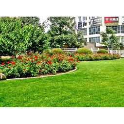 四、 绿化养护等级划分及其费用计算