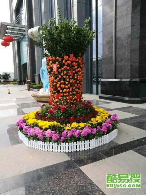 鲜花批发市场哪里找？沧州货源怎么找