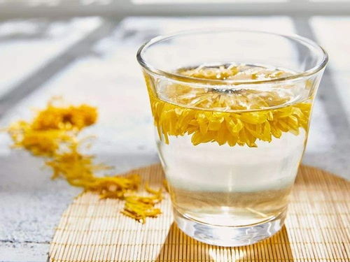 菊花茶种类繁多，你知道哪些功效独特