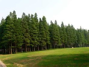 性价比如何呢？