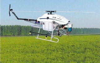 谯城区直升机打农药服务存在吗？