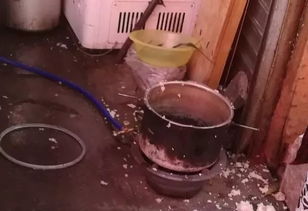 杀虫剂喷在煤气灶上遇火会引发爆炸吗？这种情况安全吗？