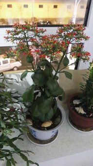 养护小贴士——避开那些坑