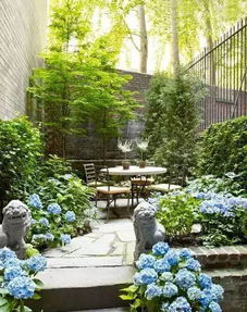 南方植物在北方的生存之道