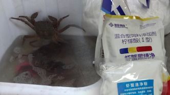 地笼捕虾， 那些农药与药水的传闻