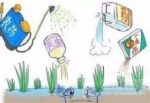 听说长期用同一种药会坏处，这是真的吗？