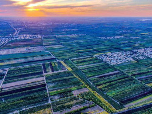 跨区域合作， 共赢未来