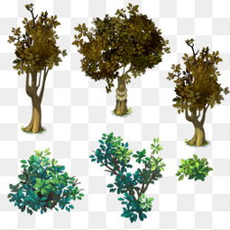 树木的骨骼， 花园的韵味