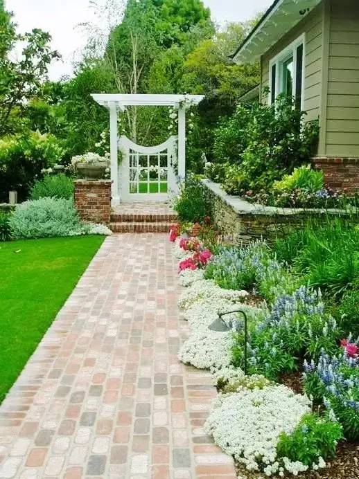 斑点树叶， 居家装饰的小魔法师