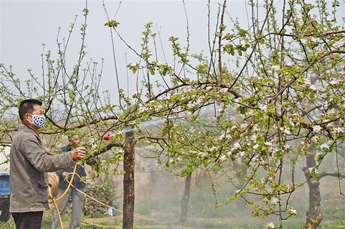 物理方法：清水冲洗加浸泡