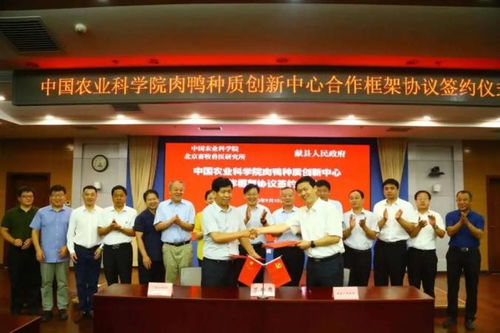 湖南畜牧研究所和中国农业科学院北京畜牧兽医研究所的专家团队，能针对饲料营养配方提供哪些创新解决方案？