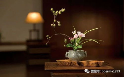 寒风中的花花草草：那些在零下低温下依旧绽放的“抗冻英雄”