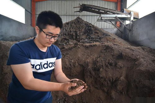 兰花施肥：如何选择合适的肥料