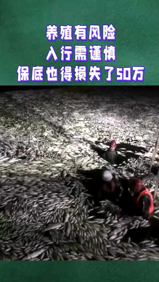养蛇存在潜在风险，需谨慎对待