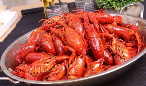 小龙虾的农药敏感度之谜