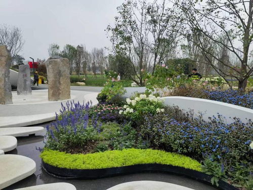 园林绿化中花卉种类繁多