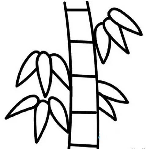 绘制榕树的简单步骤