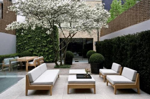 冬日果岭草的呵护之道