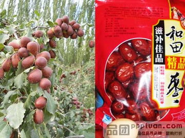 和田大枣，甜蜜中的疑问