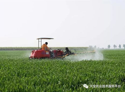 那怎么用除草剂才平安呢？
