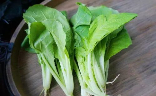 小白菜：寒冷冬季的绿色