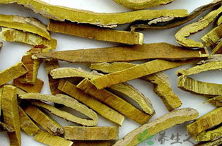 清热燥湿， 身体轻松