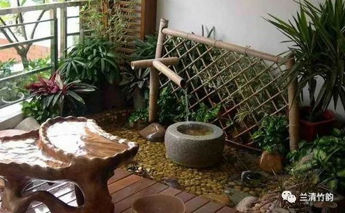 窗台放什么植物风水好？资深风水师推荐这几种