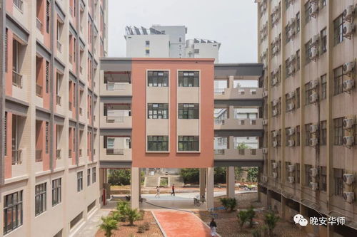 农药厂宿舍：探寻Zui差的居住区域