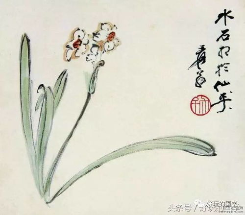 梧桐的美丽与哲学寓意中，它象征的坚韧与高洁
