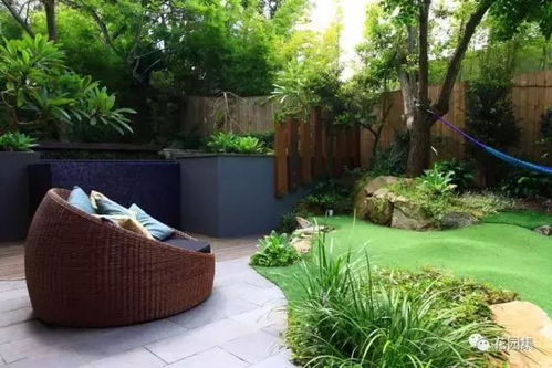 沙漠玫瑰：夏日中的艳丽之花