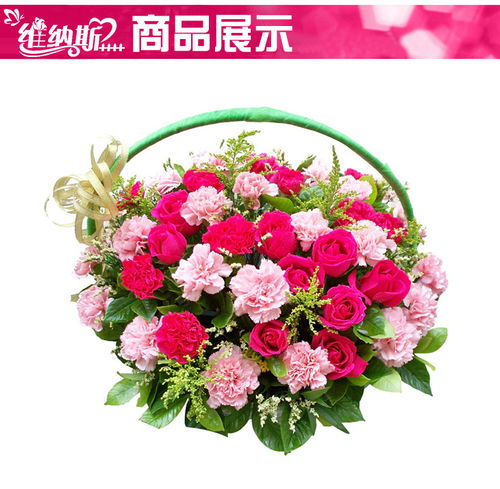 双“别再乱送花了！”粉色康乃馨的花语