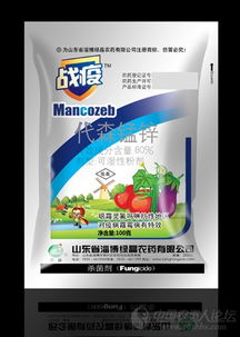 康宽的背景故事