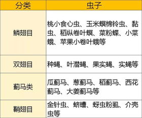 成因三：农药喷洒过量