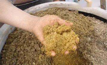 水产发酵饲料中常见的诱食剂有哪些，对水产养殖的诱食性有何影响？