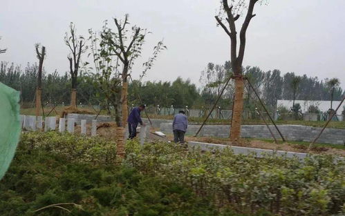 1. 施工资料：园林工程的灵魂