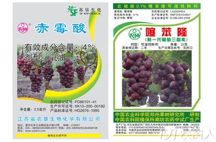 一亩地使用调环酸钙控旺剂，葡萄控旺调节剂需要多少桶水？