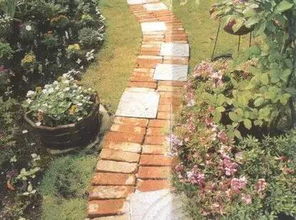 模纹种植：园林中的艺术魔法